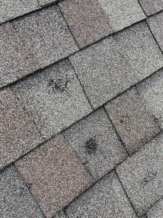 Close-up of hail impact causing granule loss on architectural shingles